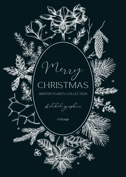 Vintage Christmas card design. Winter nature wreath template. Conifer trees, winter flowers  sketches. Hand drawn vector illustration on chalkboard. NOT AI generated